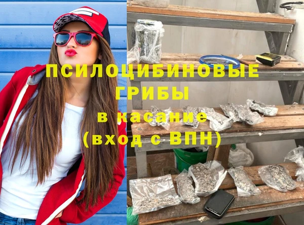 сатива Алексин