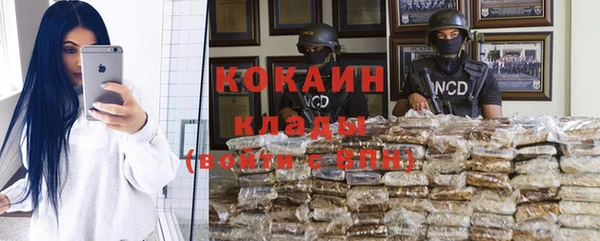 сатива Алексин