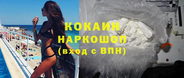 стафф Алзамай
